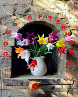 Good Afternoon Wishes
